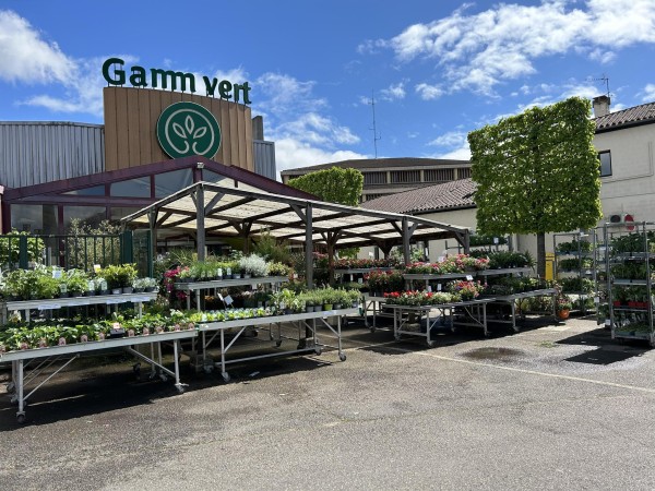 GAMM VERT