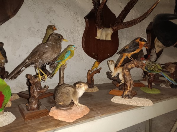 photo_3_commercant
