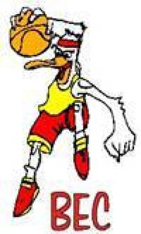 BASKET ELUSA CLUB (BEC)