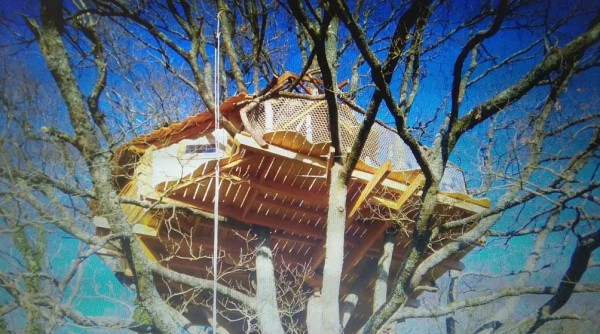 CABANE PERCHÉE AU BOIS D'EMMA & LOUE