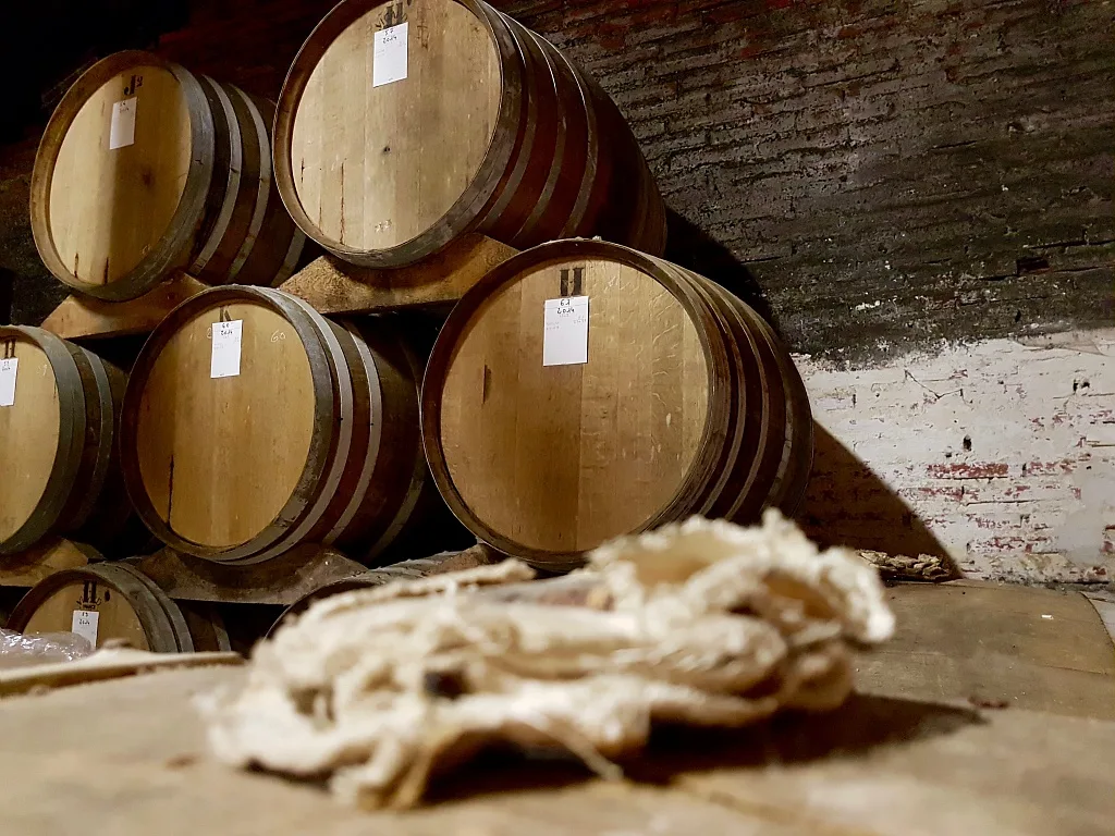 DOMAINE LA LEBE