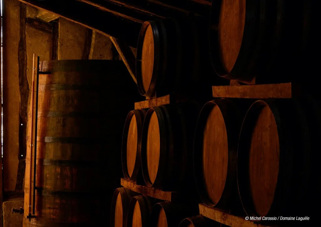 DOMAINE LAGUILLE