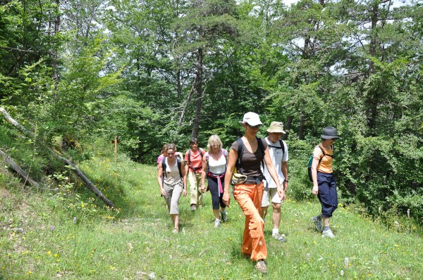 Rando Journée du Patrimoine avec Elusa Rando