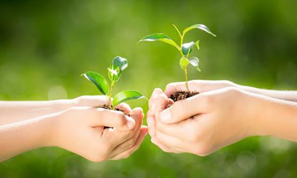 TROC DE PLANTS, PLANTES ET GRAINES