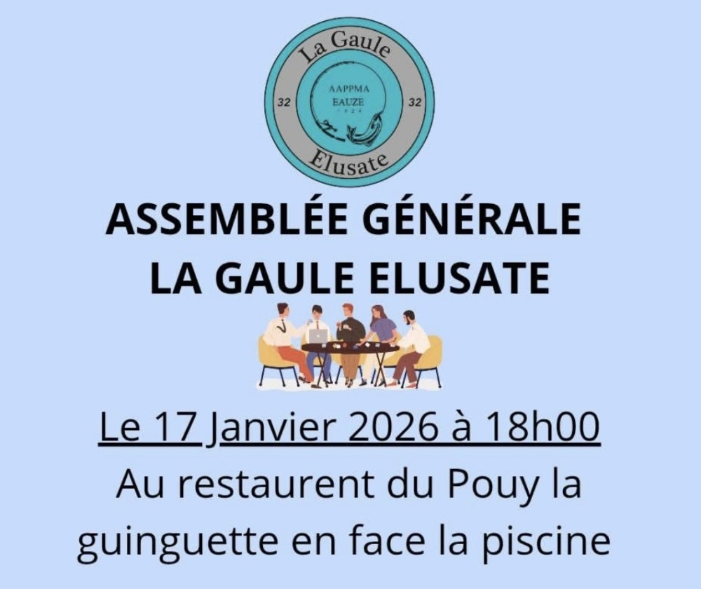 Assemblée générale de la Gaule Élusate