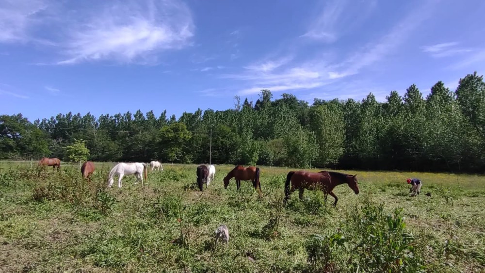 FERME ÉQUESTRE ÉQUI'OSE