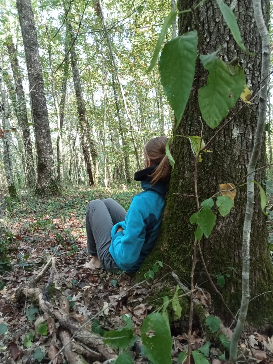 Bain de Forêt Shirin Hoku de 14h à 17h (AIGNAN)