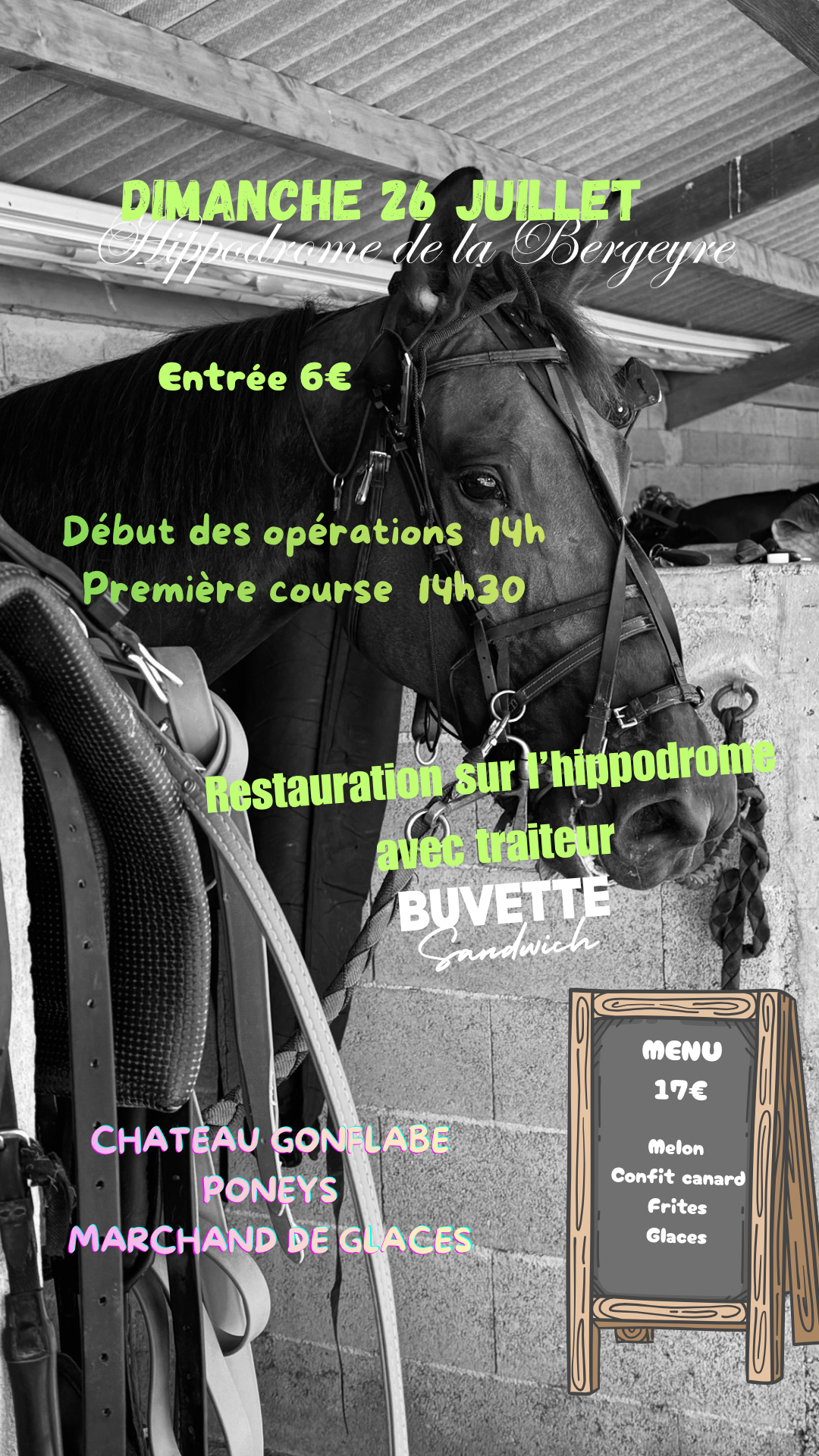 Courses Hippiques Dimanche 26 juillet