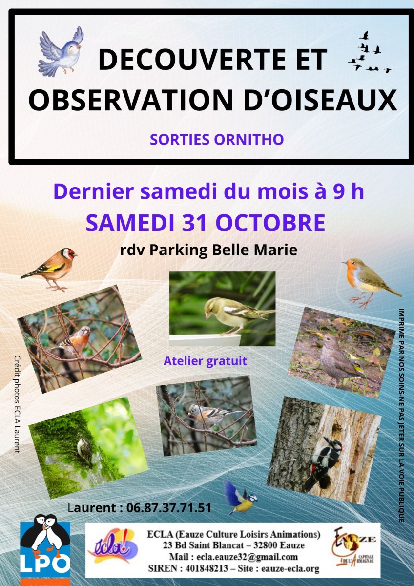 ATELIER OBSERVATION D'OISEAUX