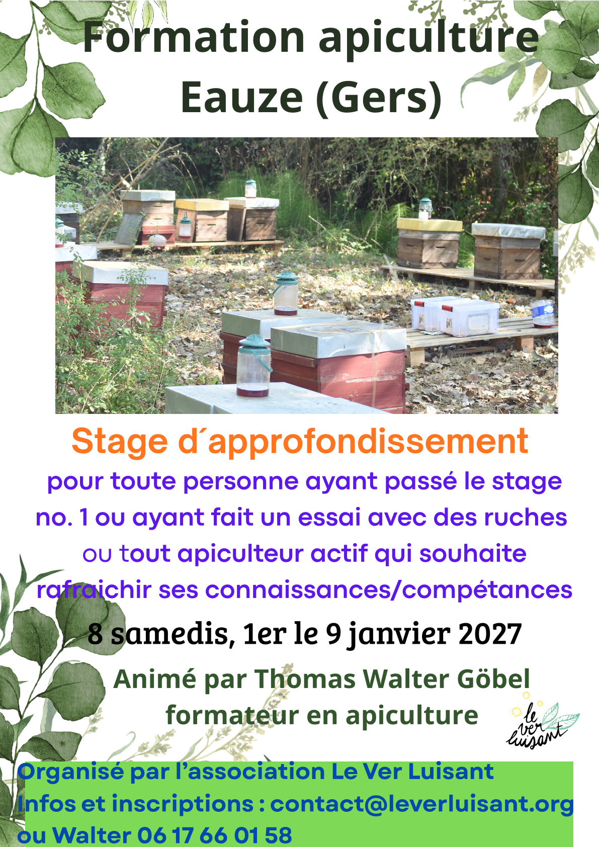 Formation en Apiculture : 2 stages