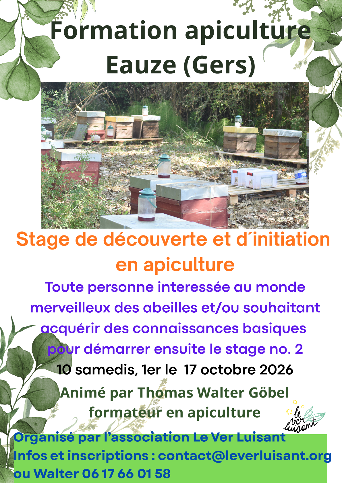 Formation en Apiculture : 2 stages